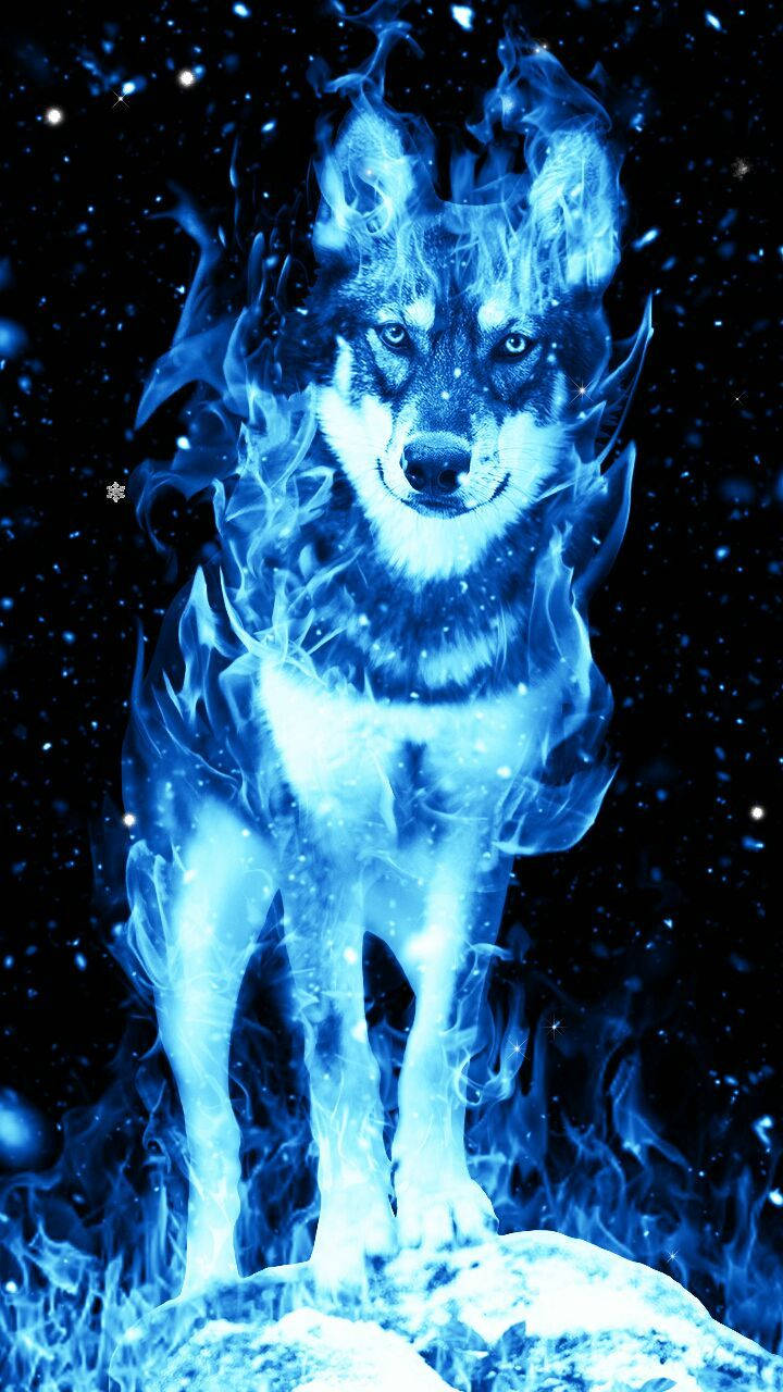 Mystical Blue Wolf In Fierce Flames Background