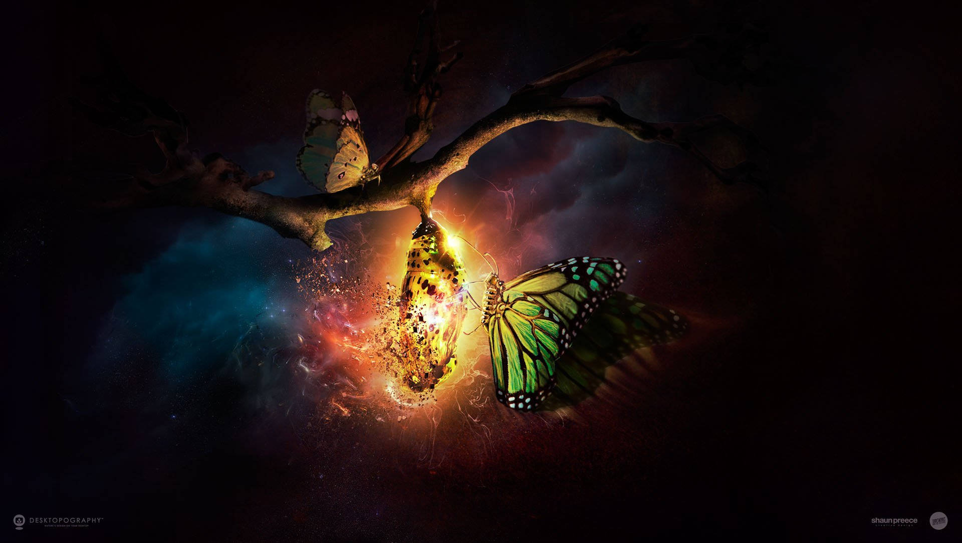 Mystical Dark Cocoon Art Background