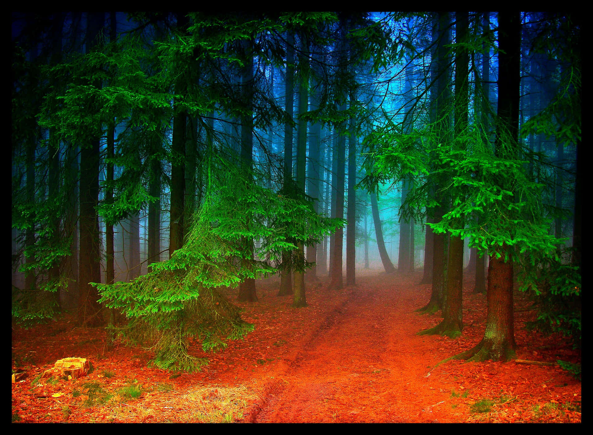 Mystical Forest Path Background