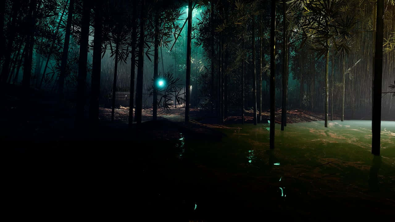 Mystical_ Nighttime_ Bamboo_ Forest Background
