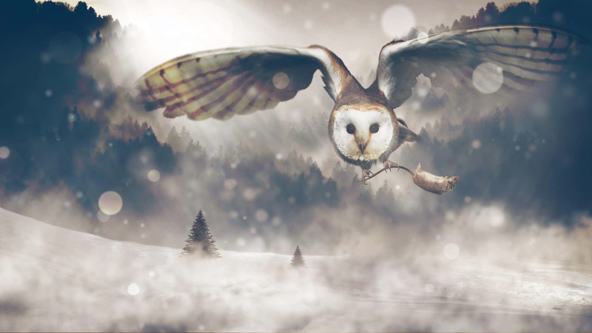 Mystical_ Owl_ Flight_ Winter_ Forest