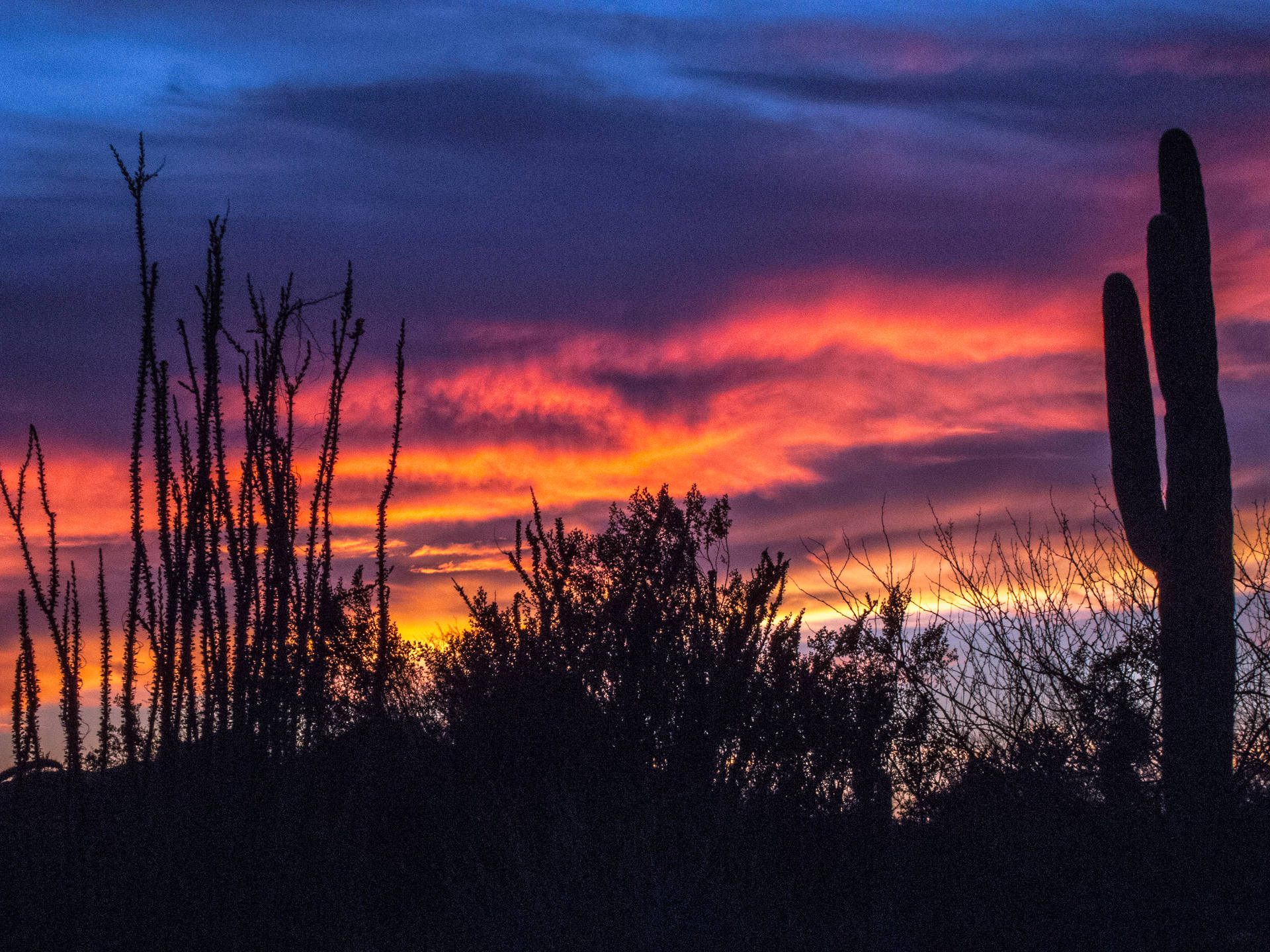 Mystical Sunset Over The Arizona Desert