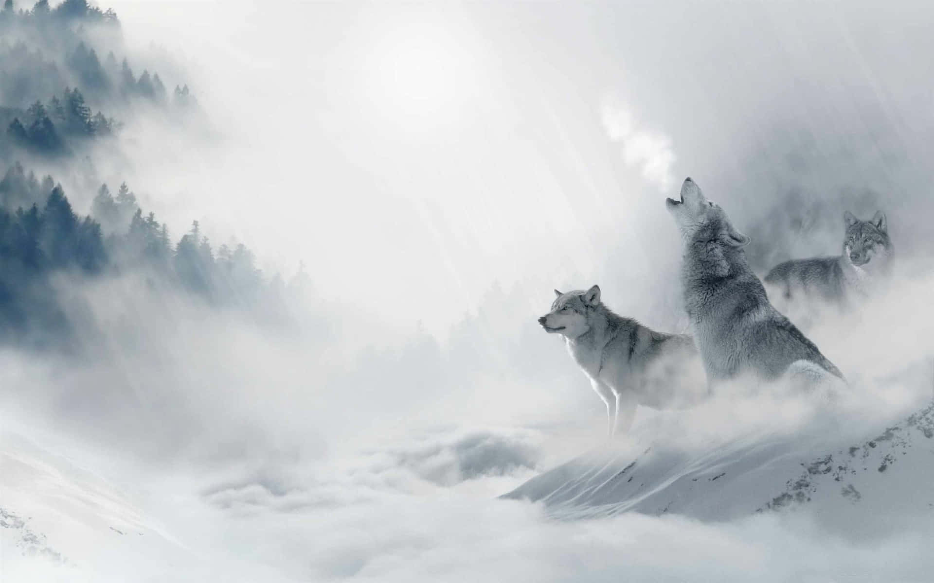 Mystical_ Winter_ Wolves Background