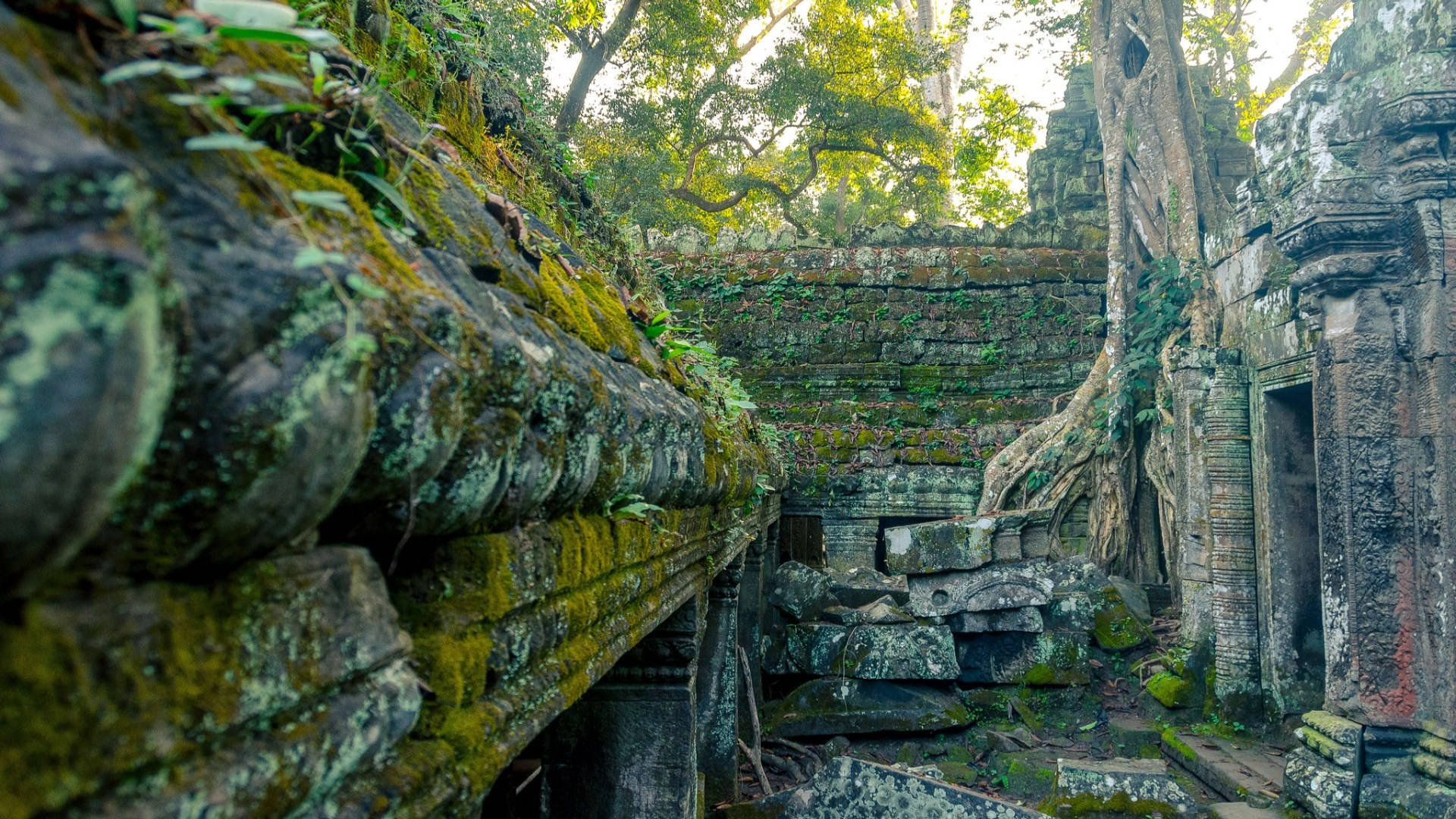 Mystique Angkor Wat Ruins Overgrown By Lush Moss