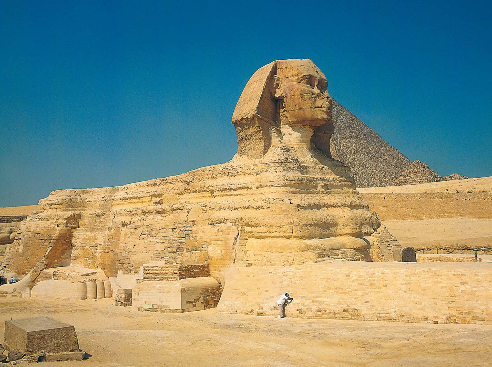 Mythical Creature The Great Sphinx Background