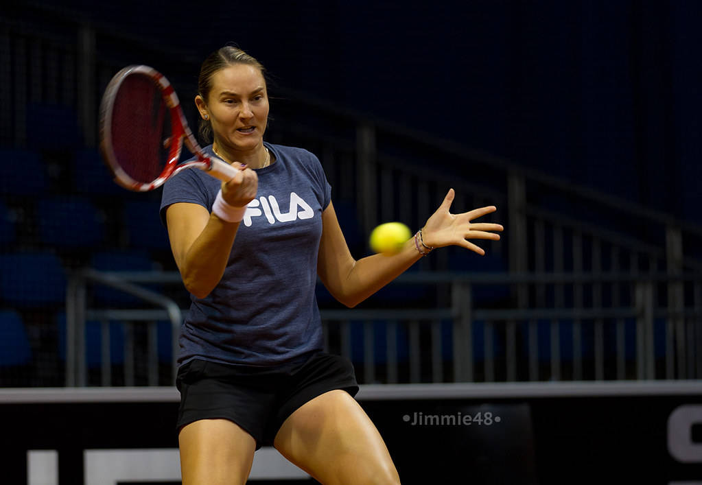 Nadia Petrova Easy Forehand Stroke Background