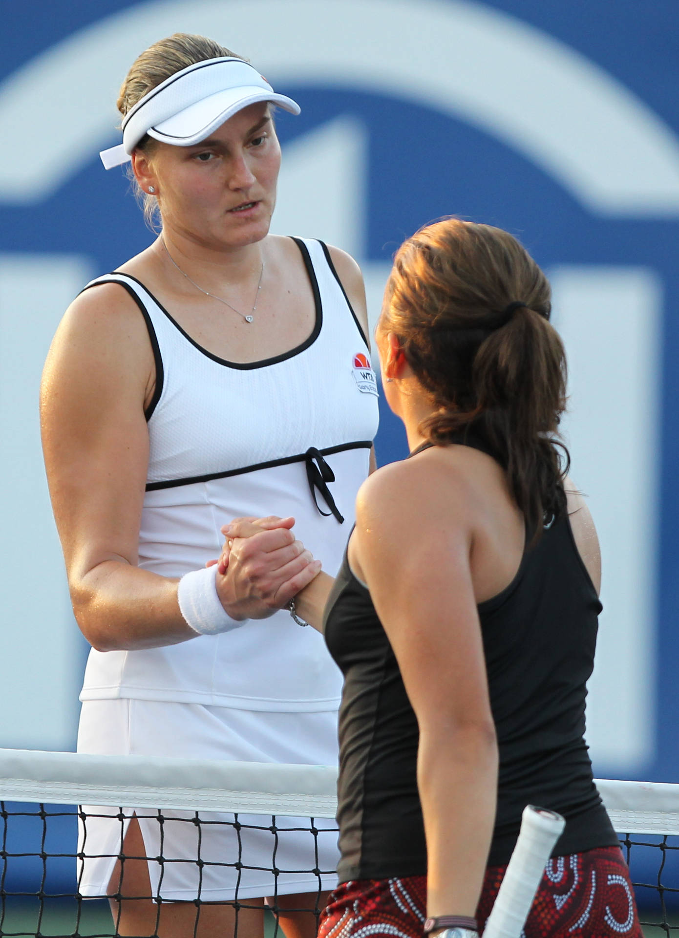 Nadia Petrova Shaking Hands With Opponent Background