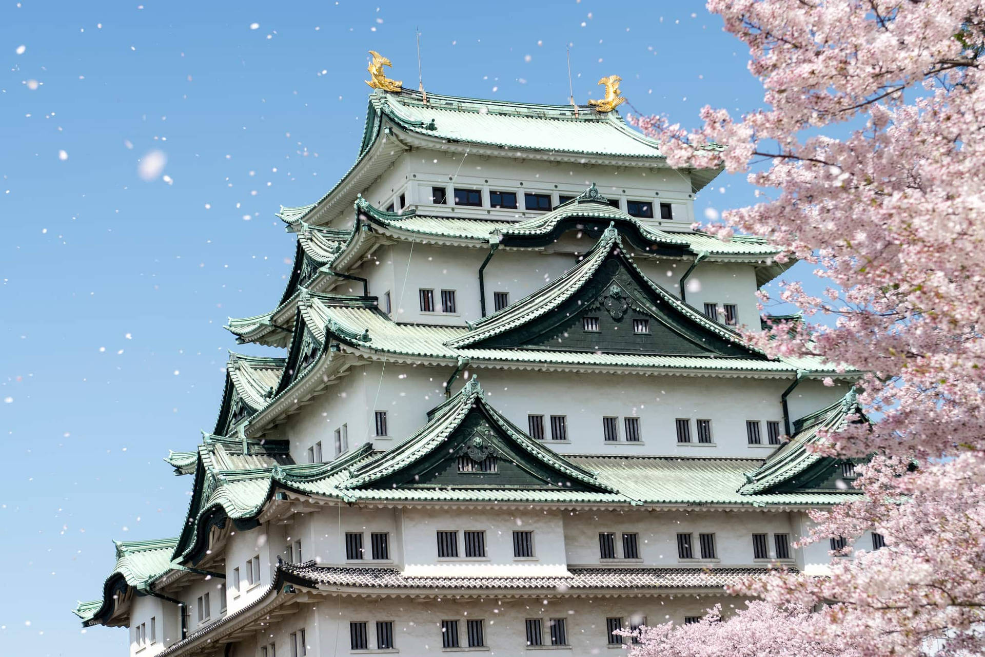 Nagoya Castle At Spring