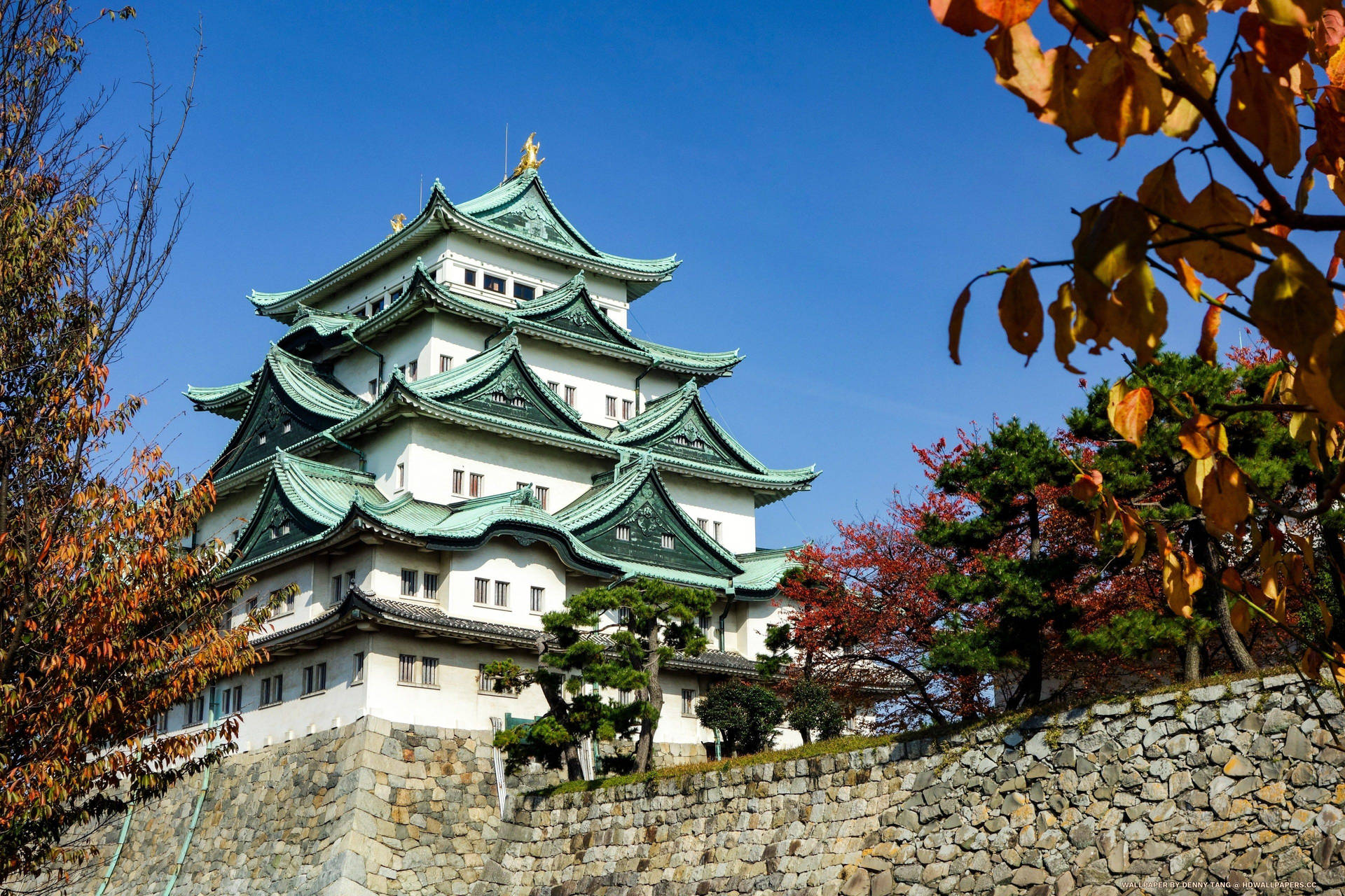 Nagoya Green Edo Castle Background