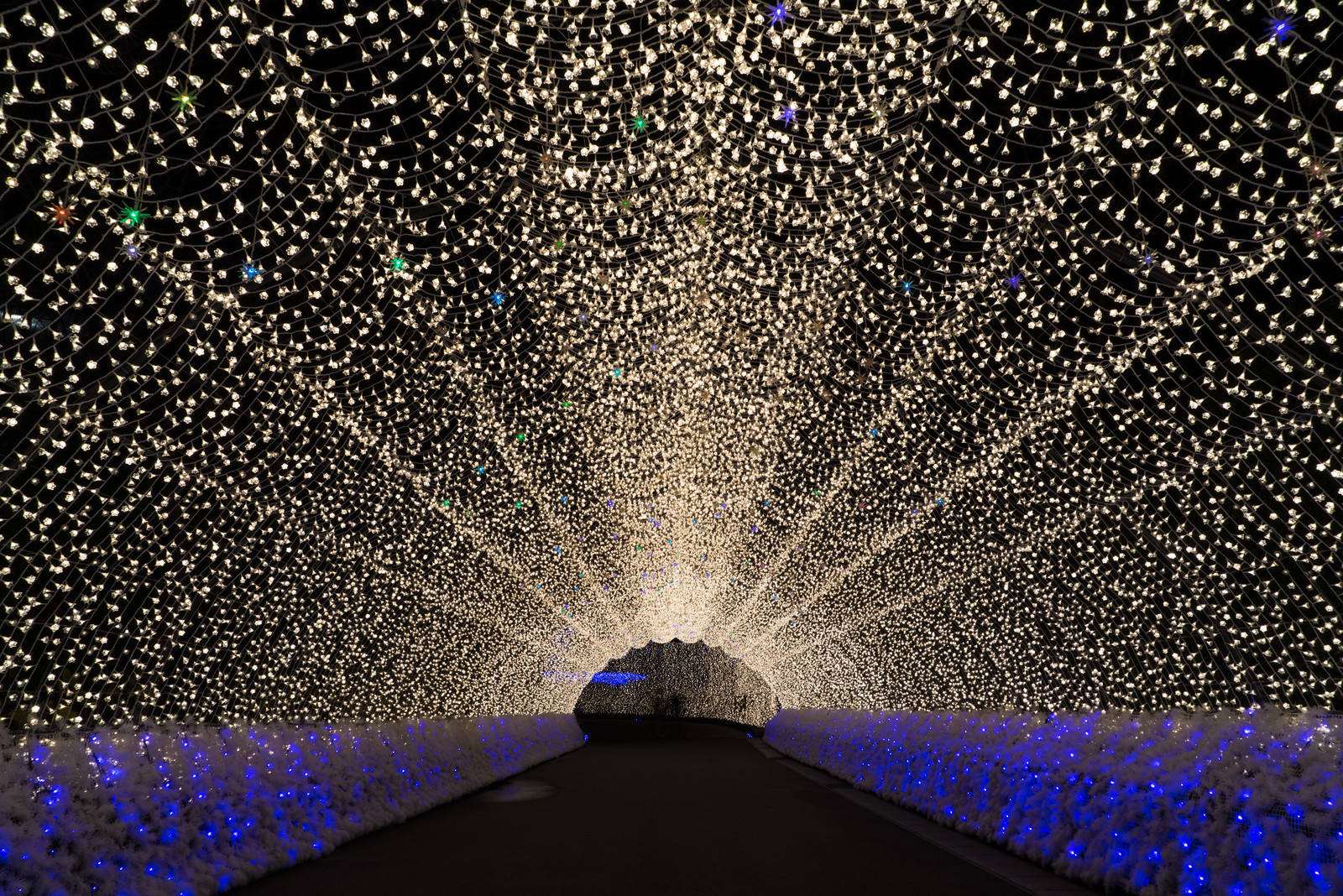 Nagoya Nabana No Sato Tunnel Background