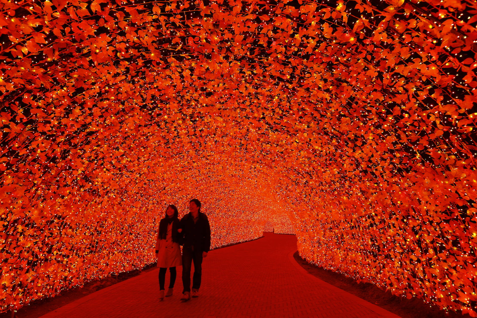 Nagoya Red Tunnel Illumination Background