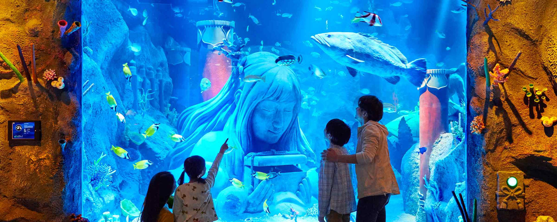 Nagoya Sea Life Background