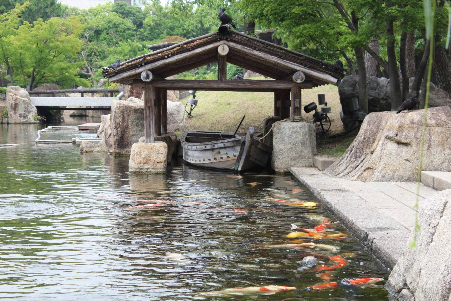 Nagoya Tokugawa Garden Pond Background