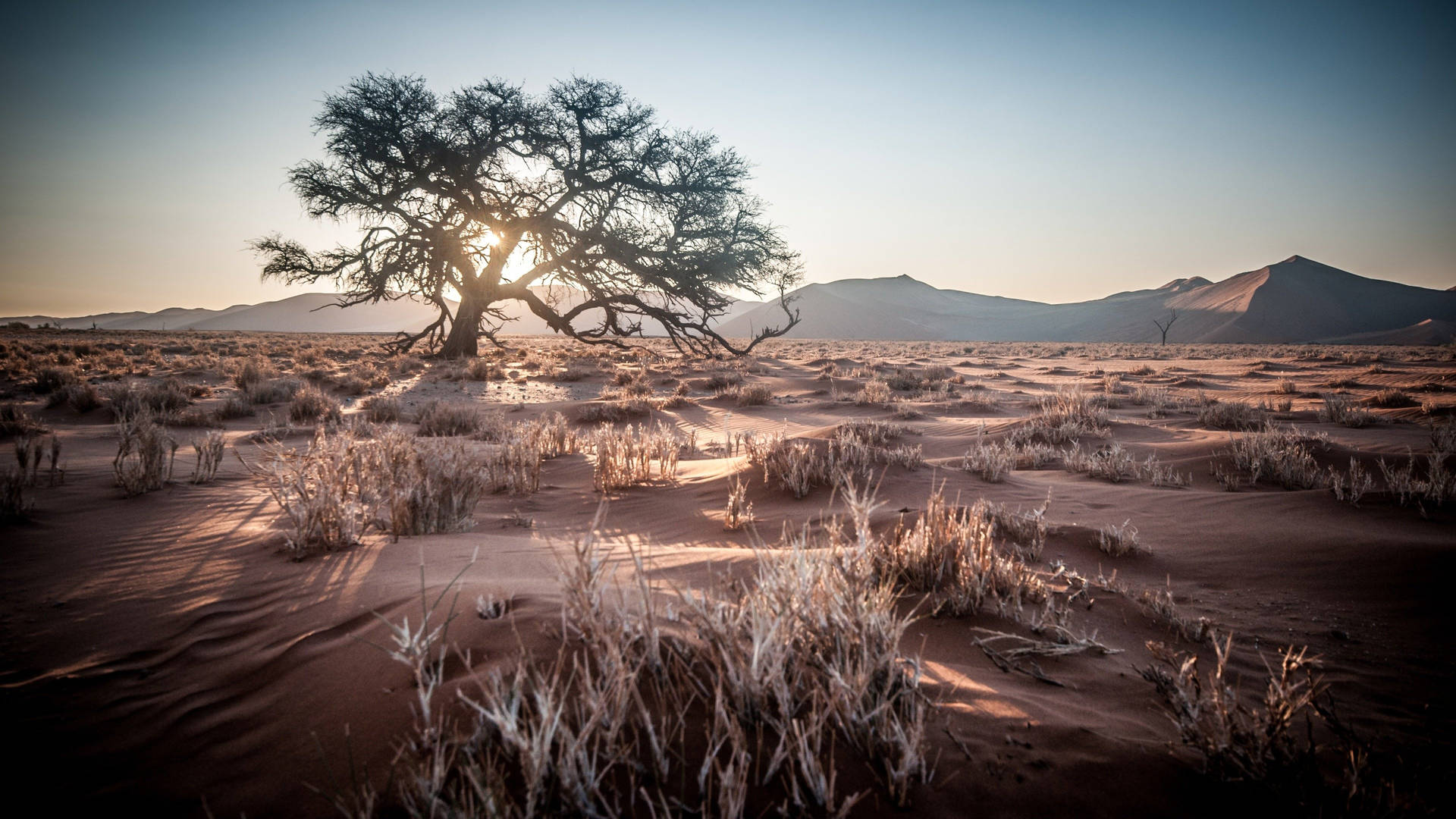 Namib Desert Africa 4k