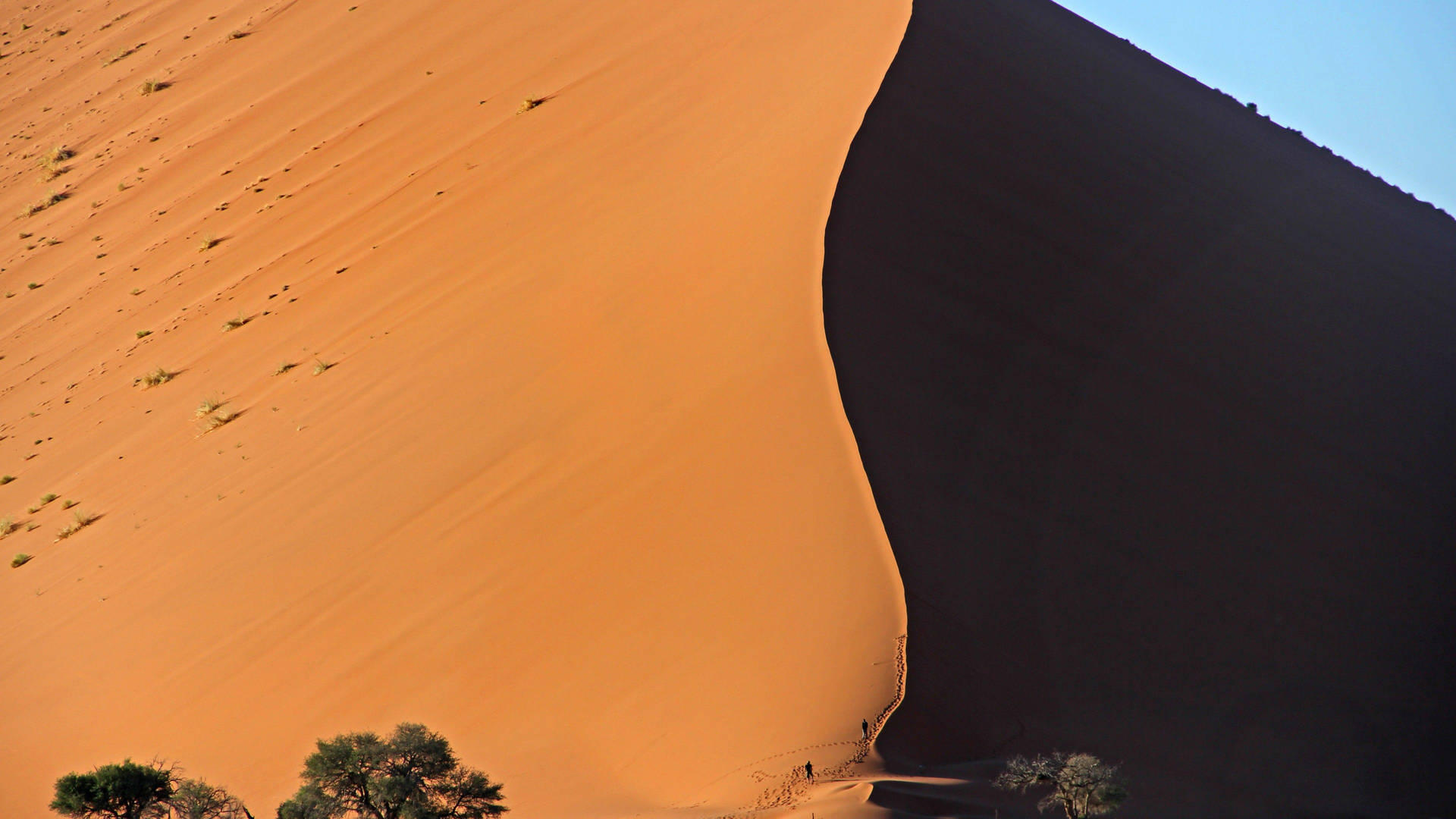 Namibia Aerial Dune Background
