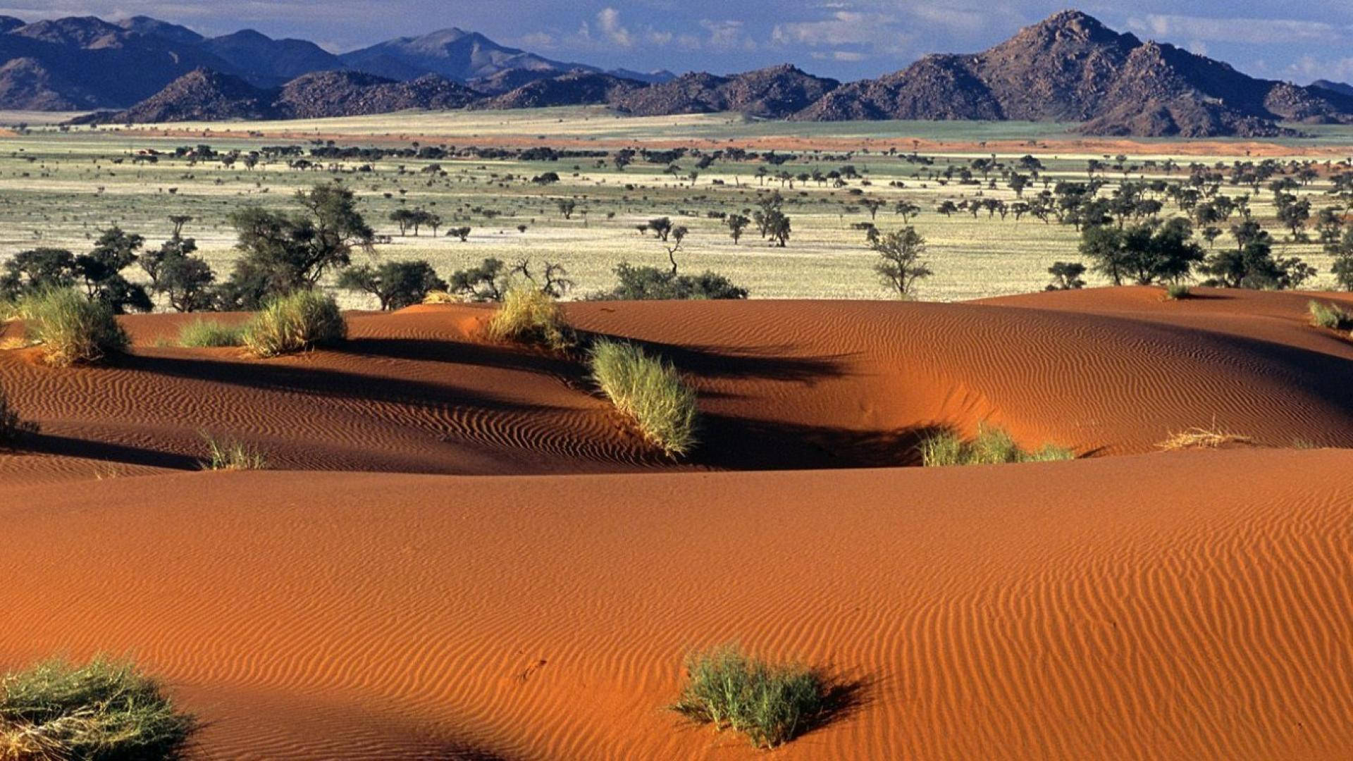 Namibia Famous Landscape Background