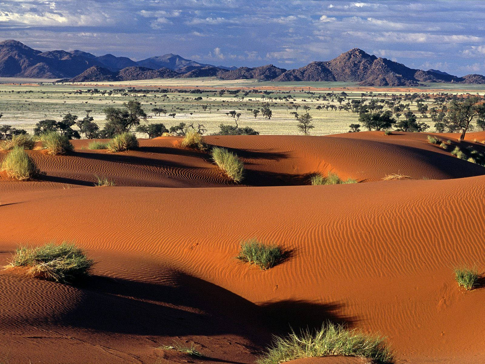 Namibia Hiking Trails With Grass Background