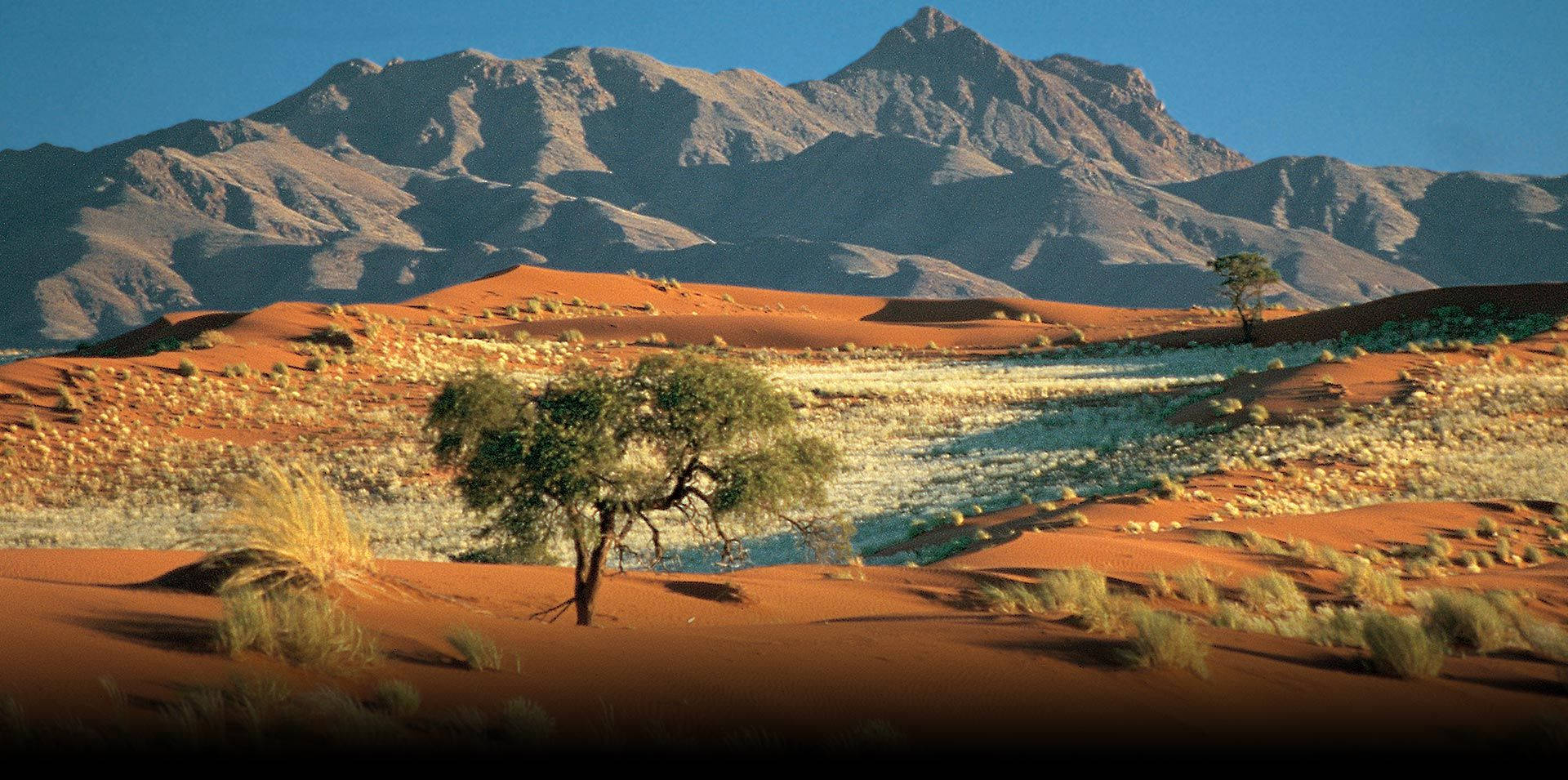 Namibia Namibrand-naturreservat Background