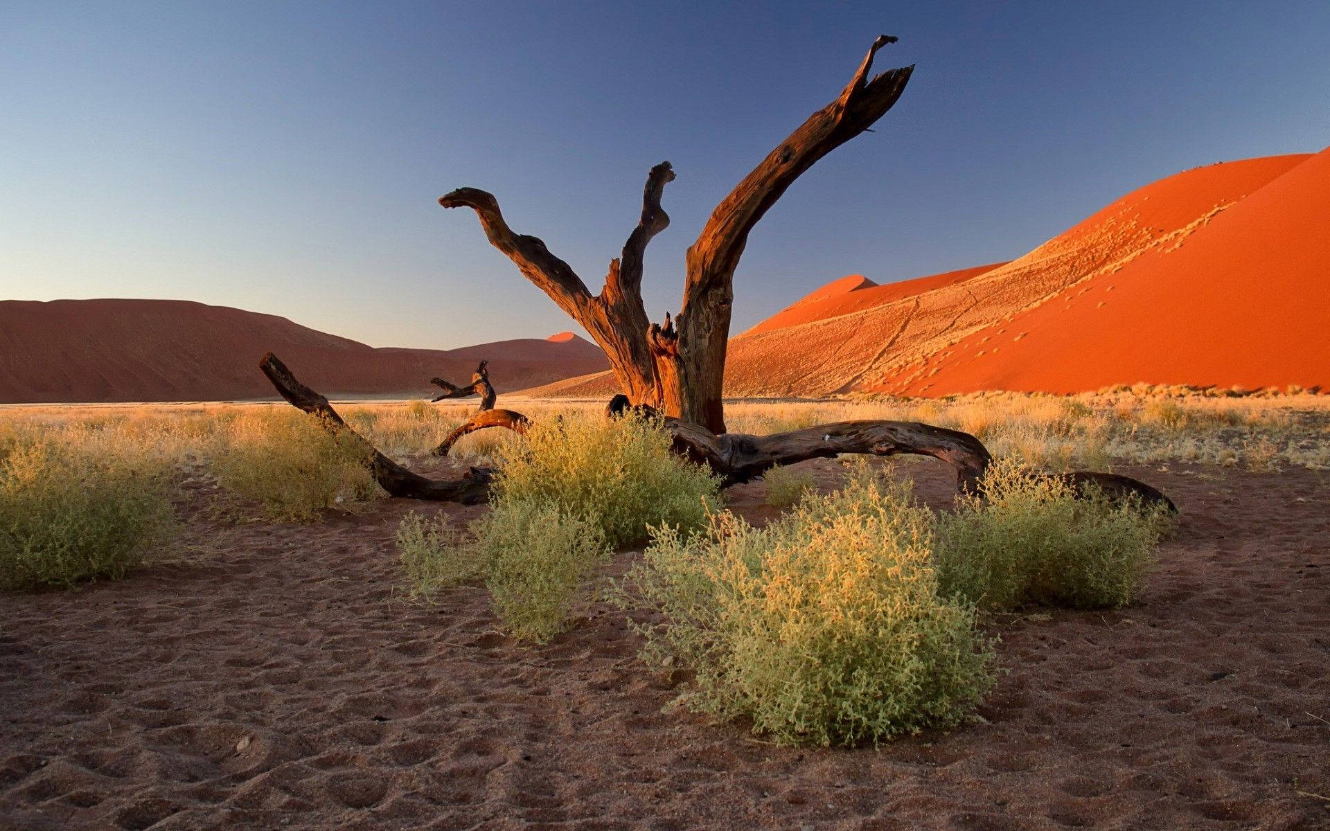 Namibia Nature Landscape Background