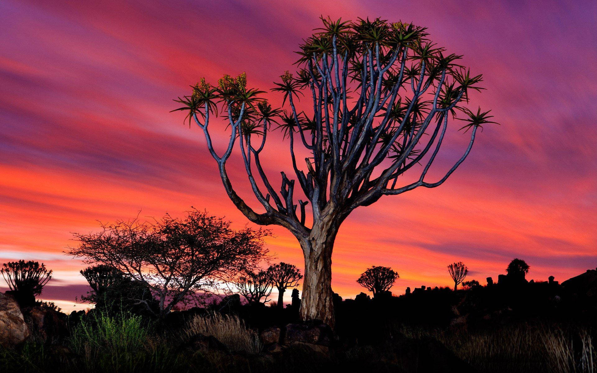 Namibia Purple And Orange Skies Background