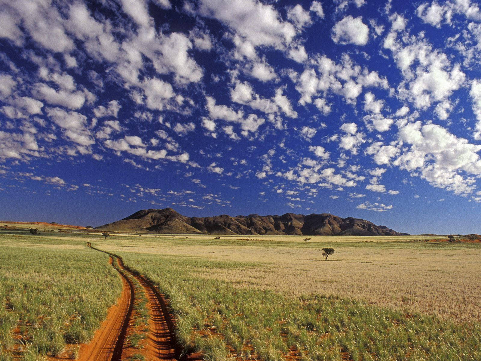 Namibia Tok Tokkie Hiking Trails Background