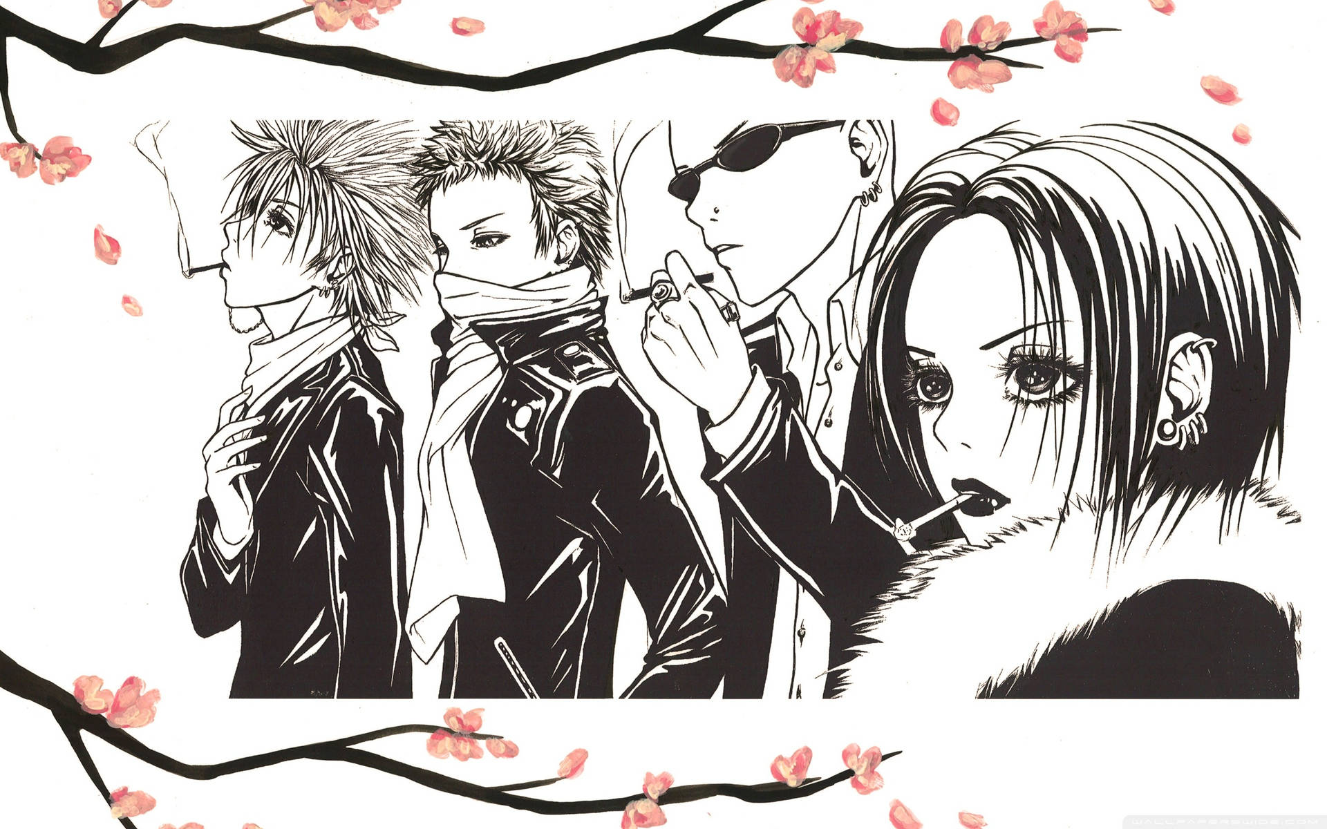 Nana Anime Cherry Blossoms Background