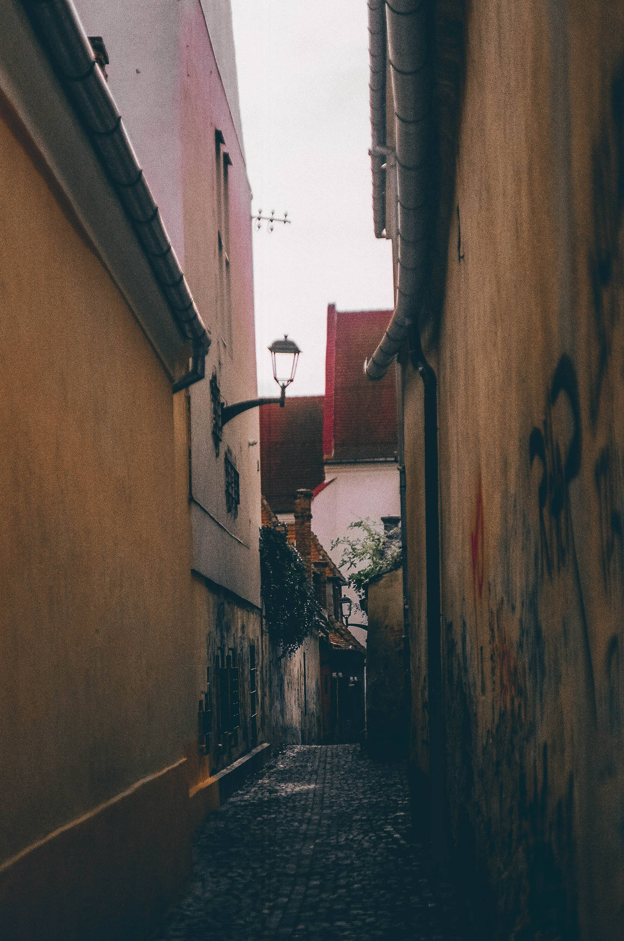 Narrow Belgium Street Background