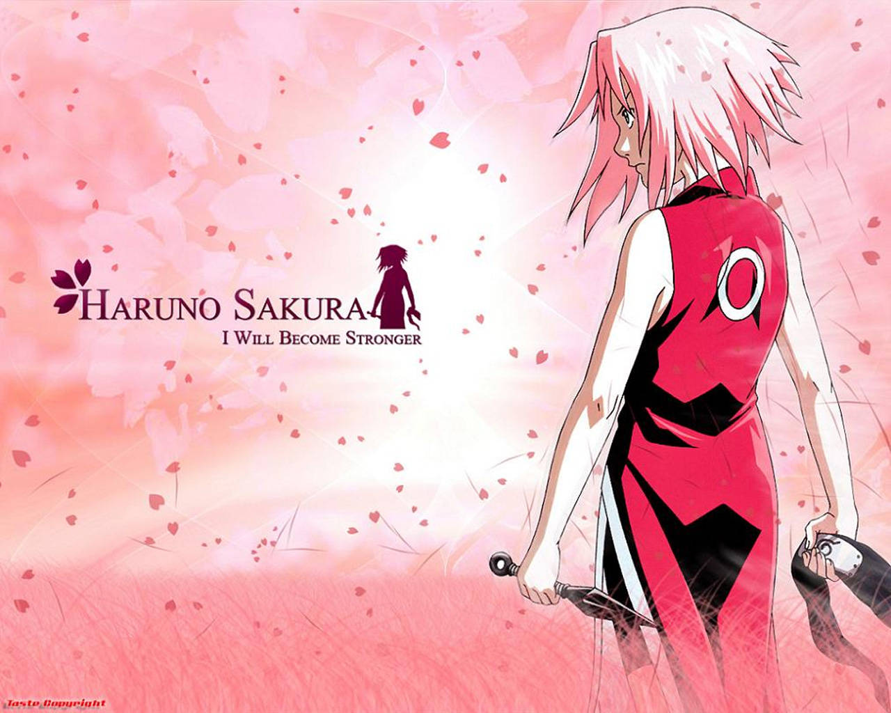 Naruto Anime Sakura Become Stronger