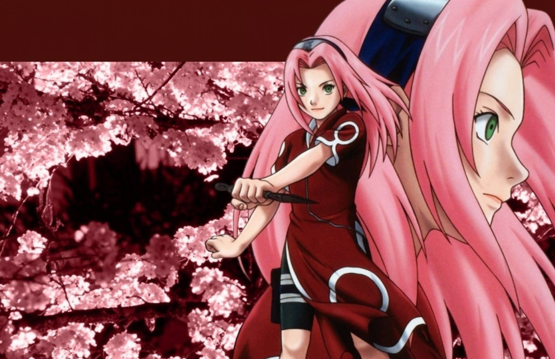 Naruto Anime Sakura Long Hair Background