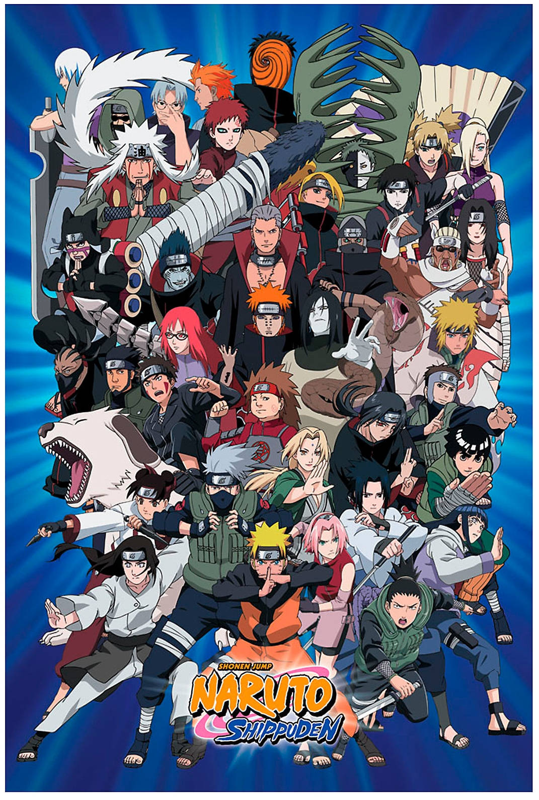 Naruto Shippuden Characters Poster
