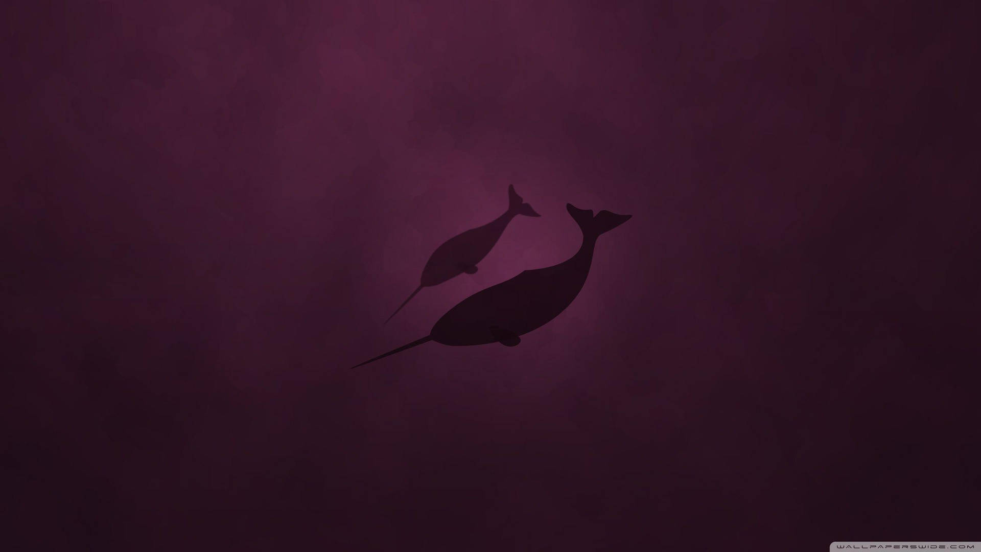 Narwhal Maroon Monochrome Background