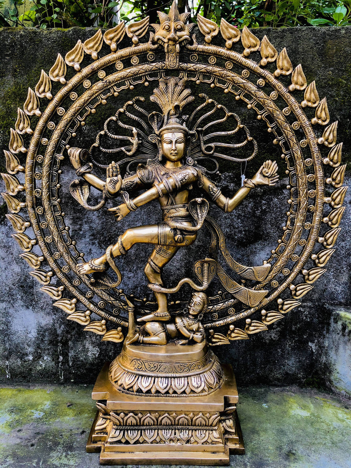 Nataraja Bronze Sculpture Background