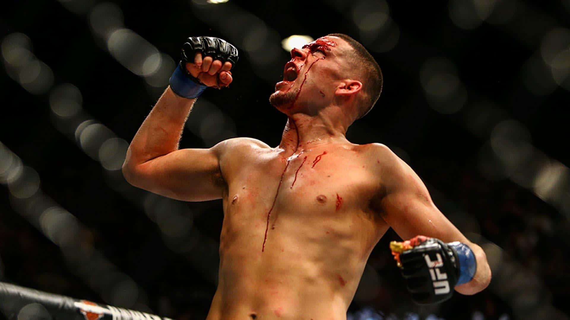 Nate Diaz, The Ultimate Fighting Championship (ufc) Prodigy Background