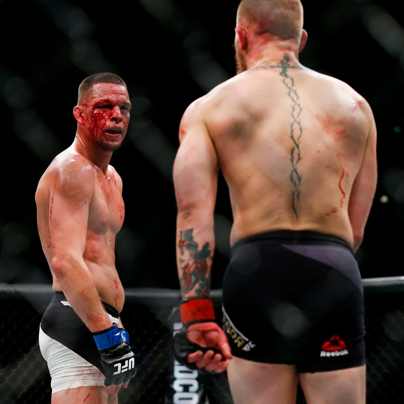 Nate Diaz Versus Conor Mcgregor Ufc 196 Background