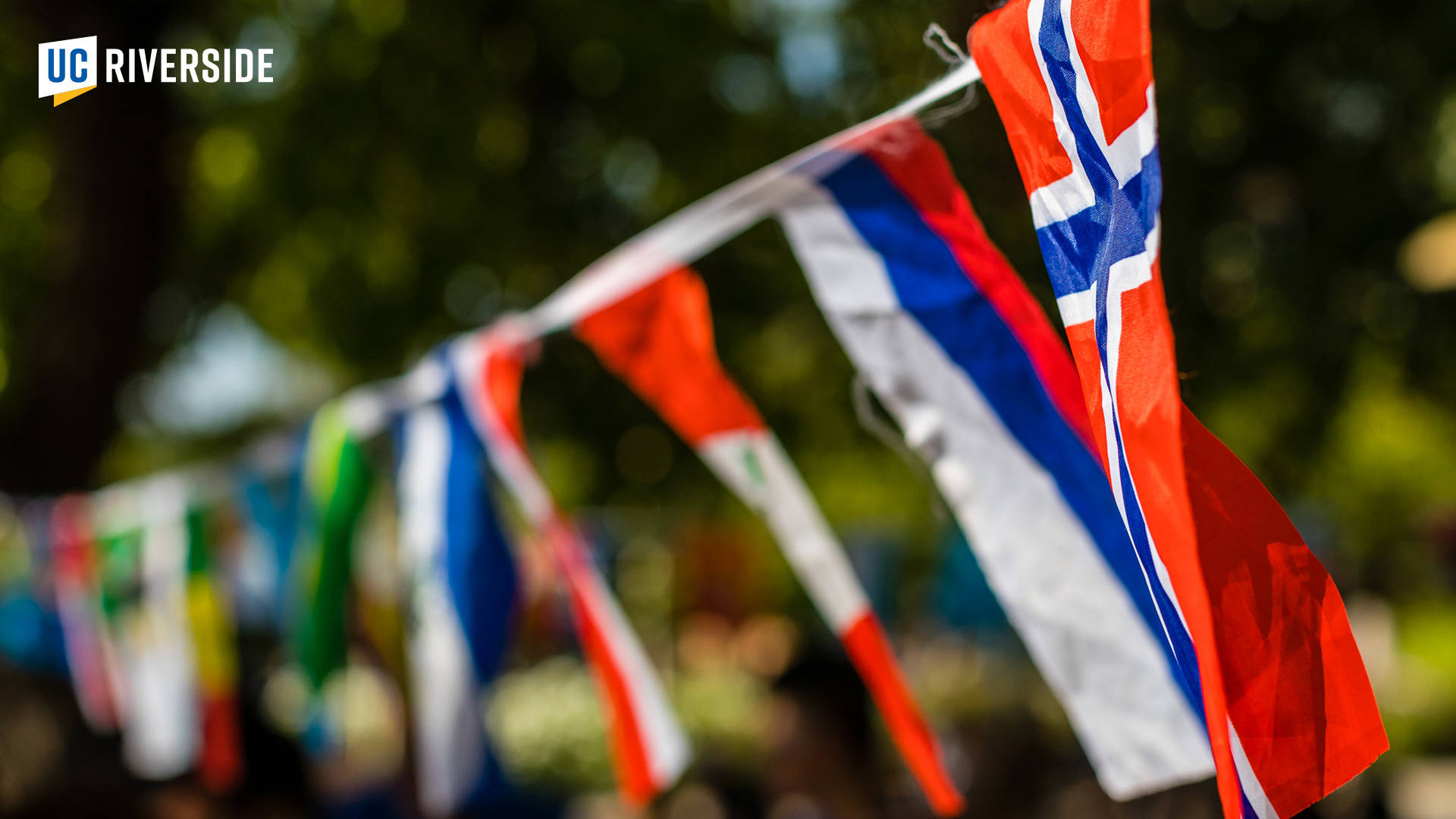 National Flags In Ucr Campus