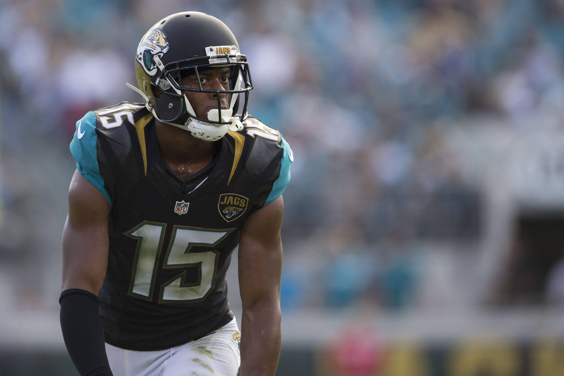 National Football League Player Allen Robinson