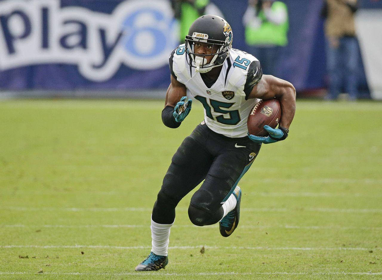 National Football League Player Allen Robinson Background