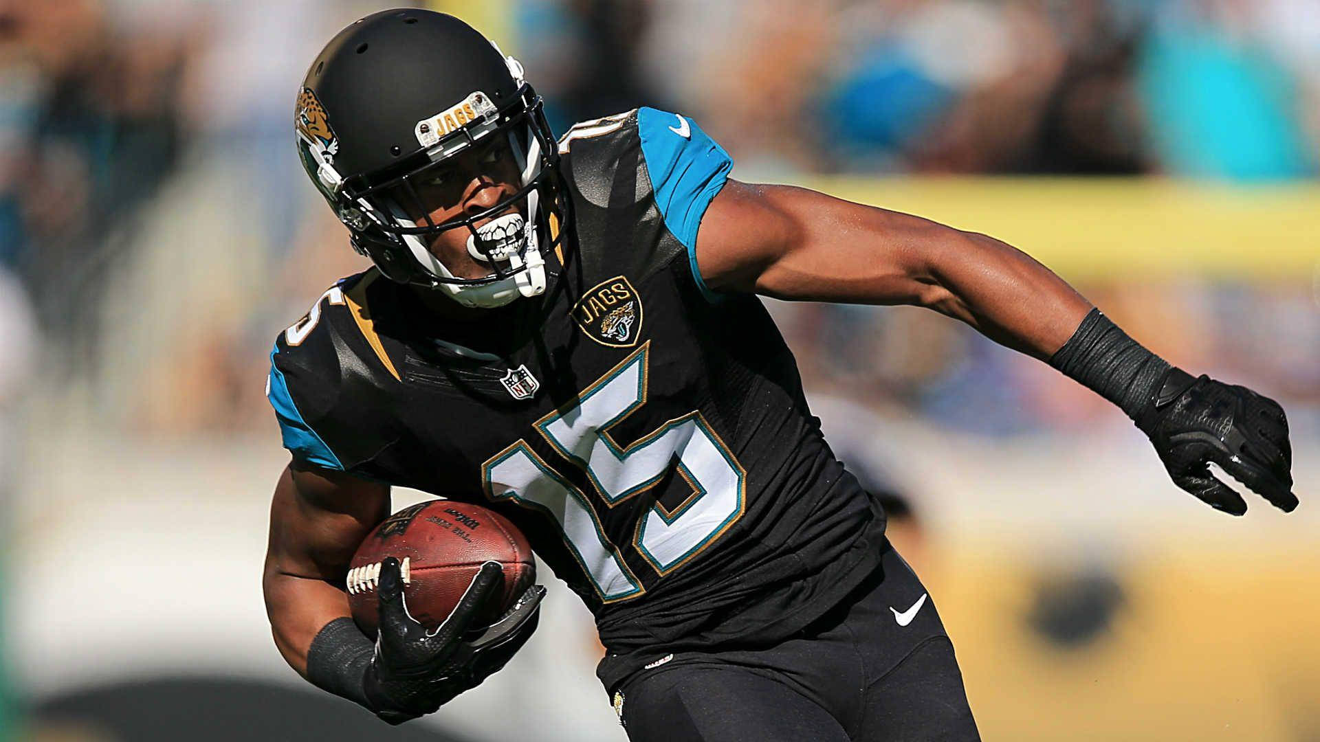 National Football League Wide Receiver Allen Robinson