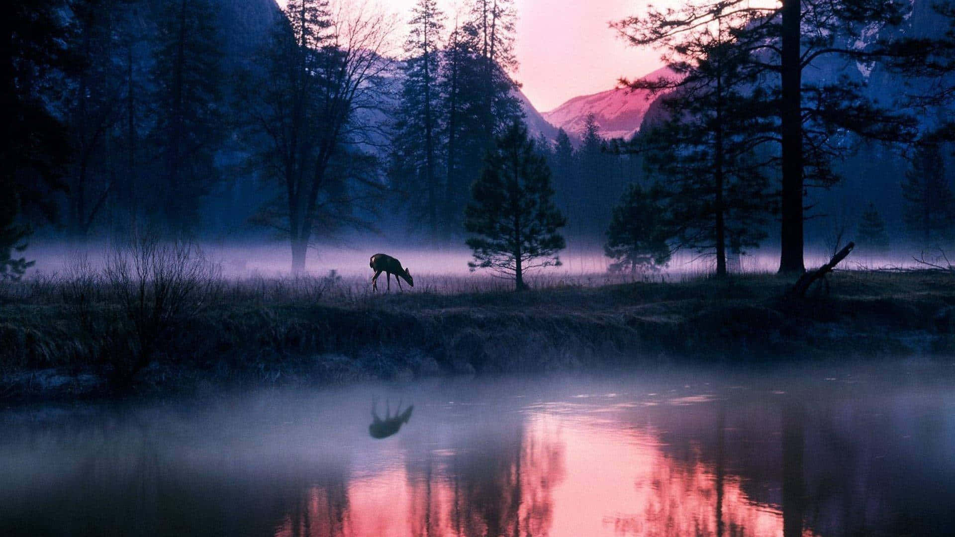 National Geographic Desktop In The River Background