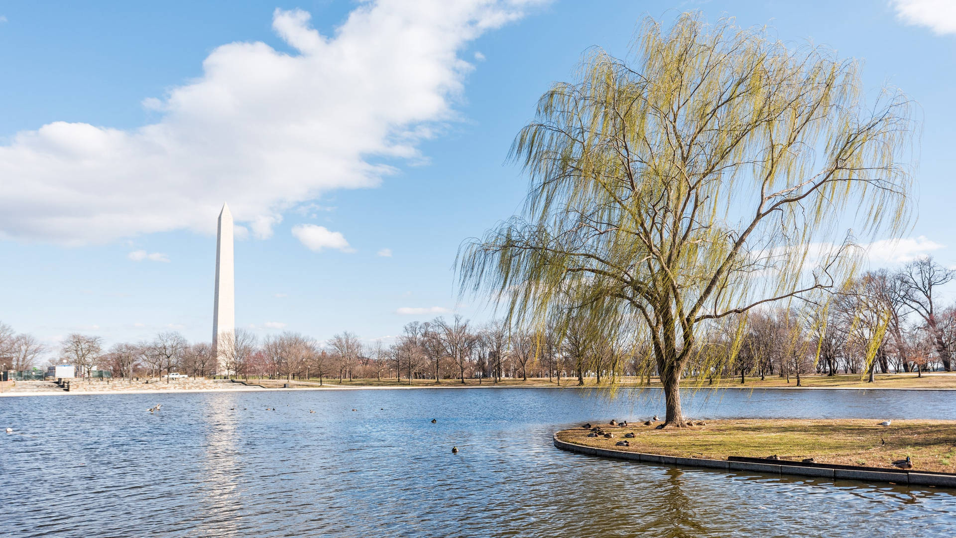 National Mall Constitution Gardens Background