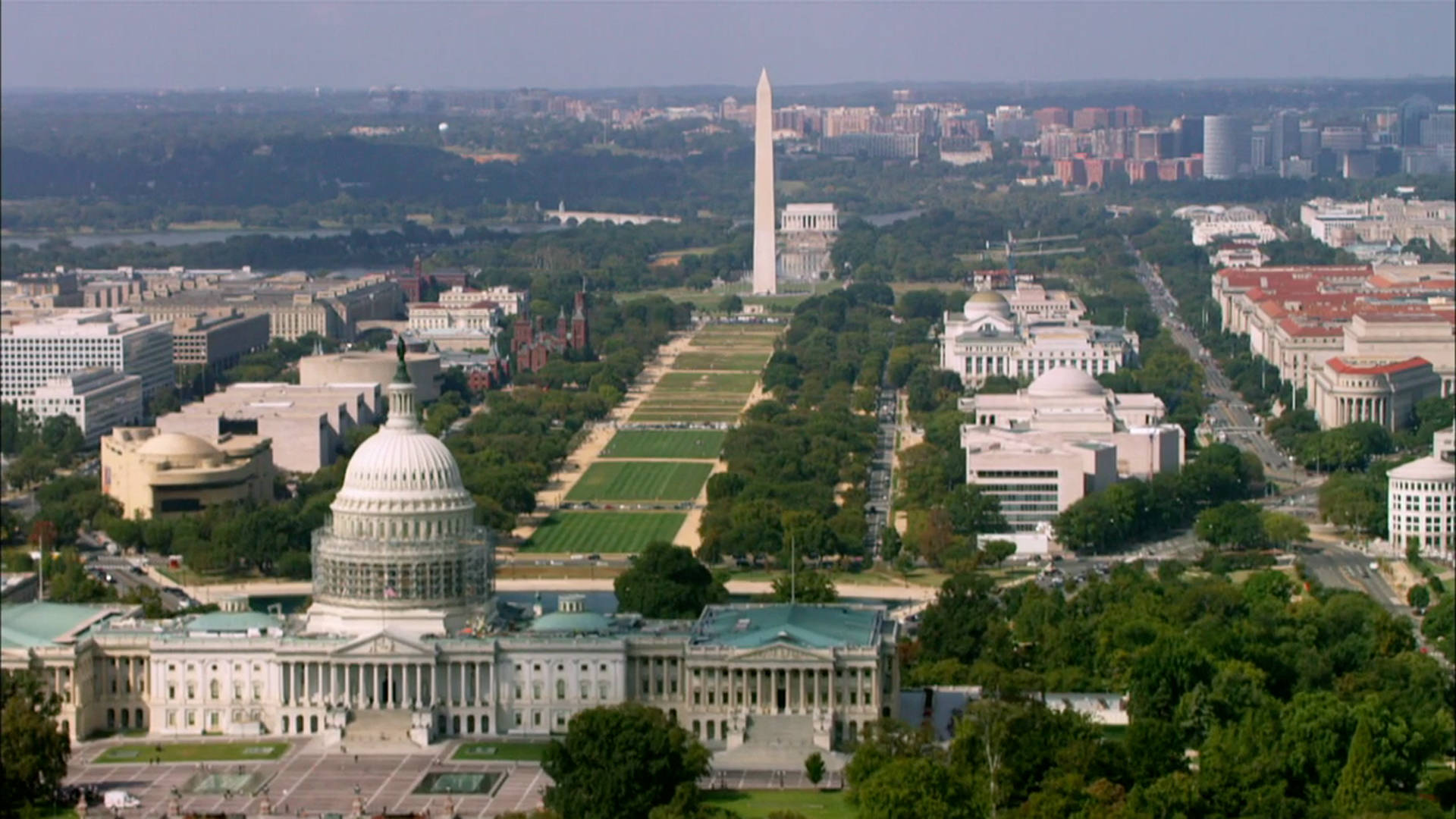 National Mall Trees Background