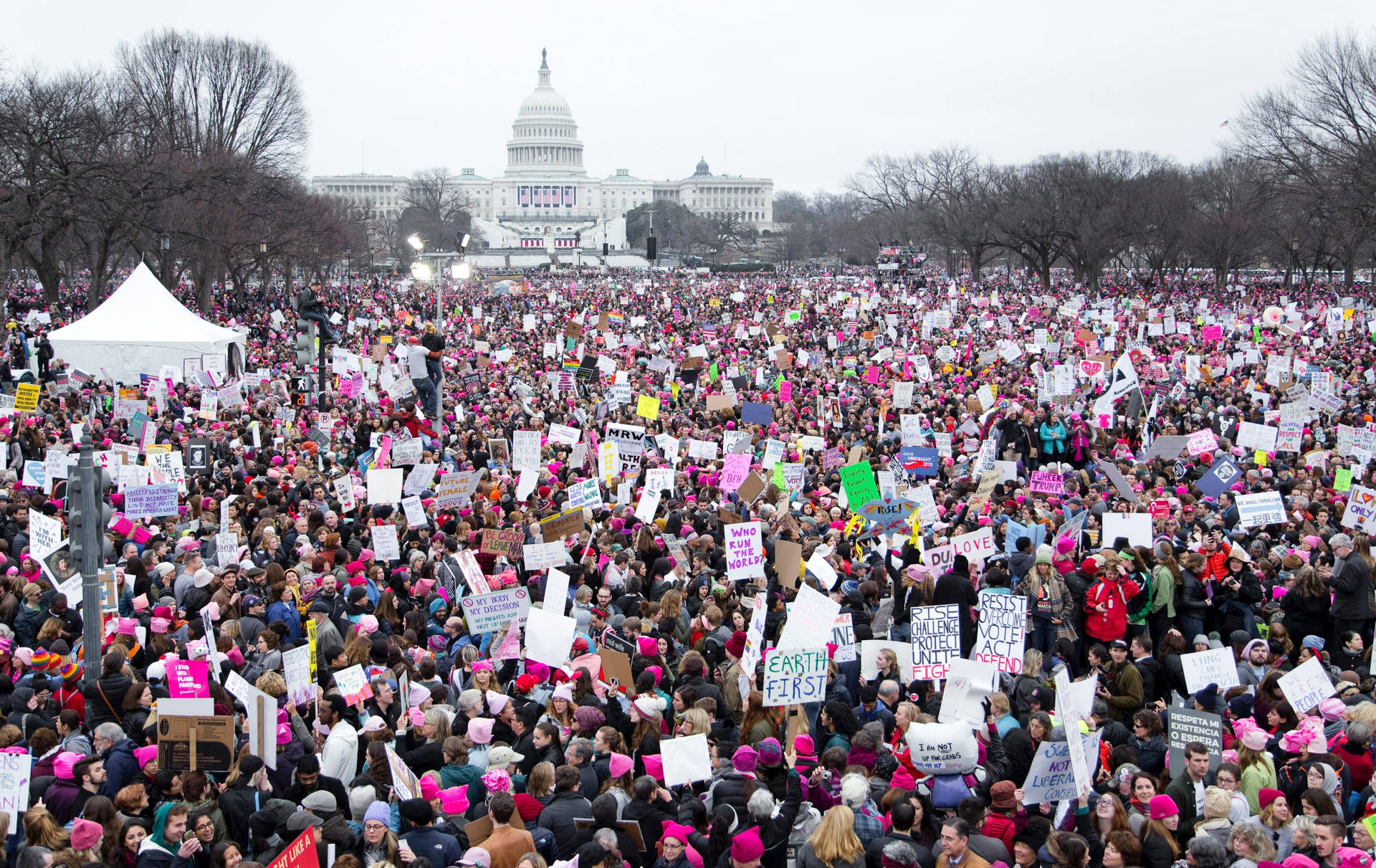 National Mall Women's March Background