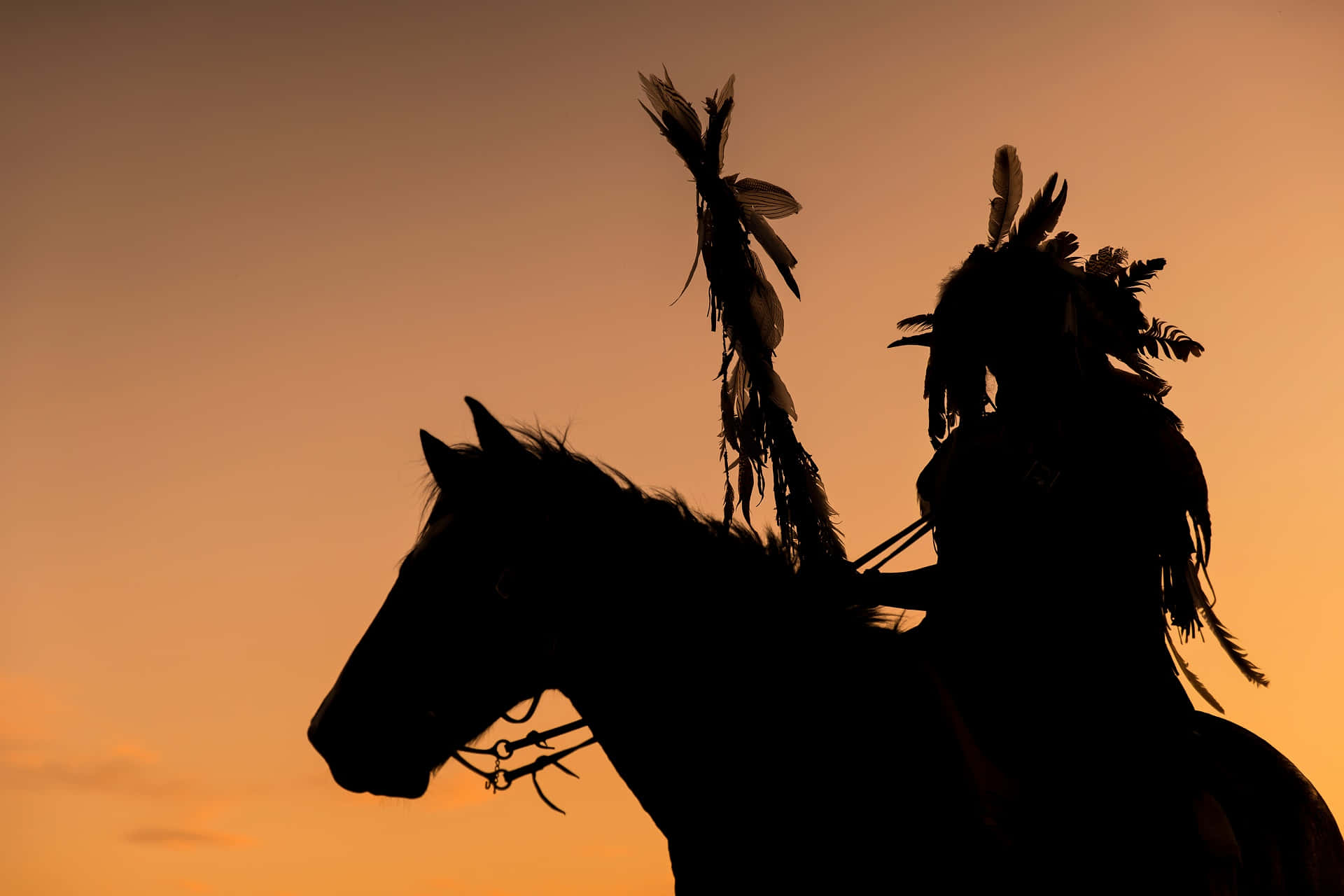 Native Horserider Silhouette