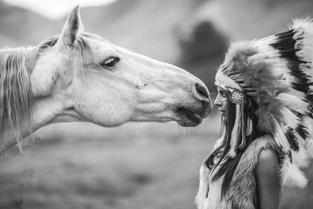Native Model Greeting Horse