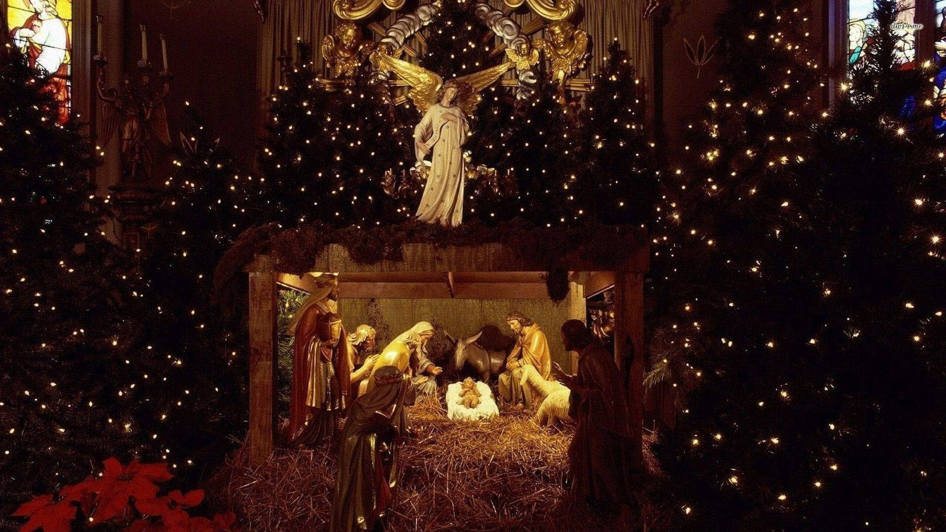 Nativity Scene Display Between Christmas Trees Background