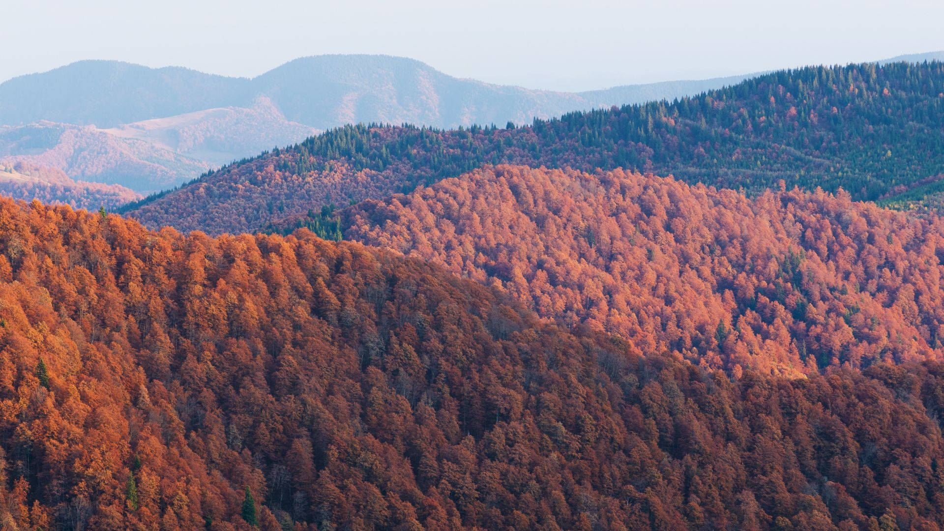 Natural Autumn Mountain Slope