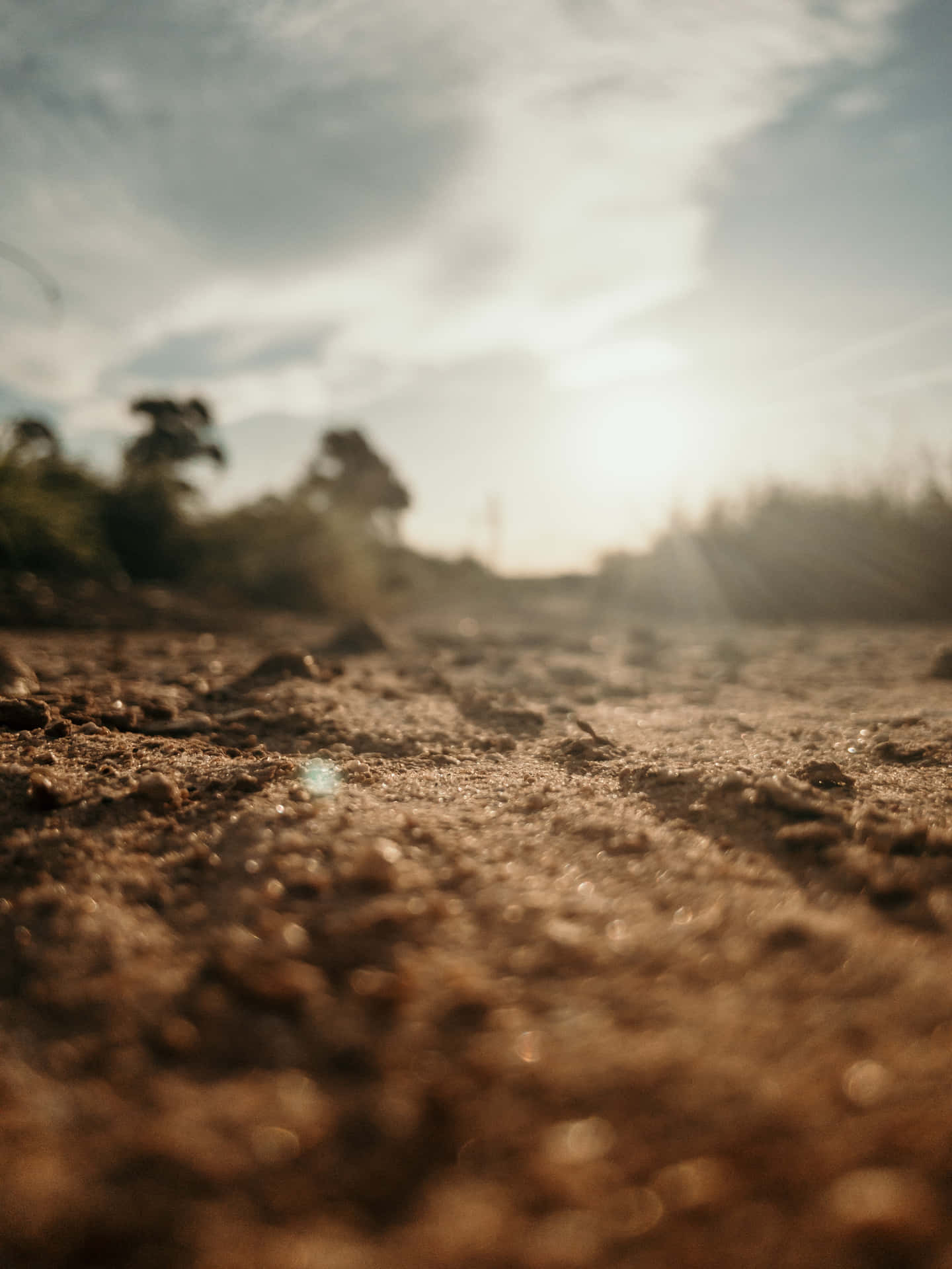 Natural Brown Earth Soil Background