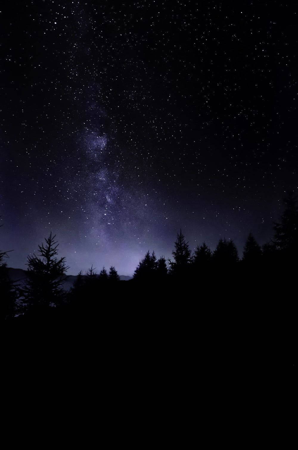 Natural Dark Forest With Starry Sky Background