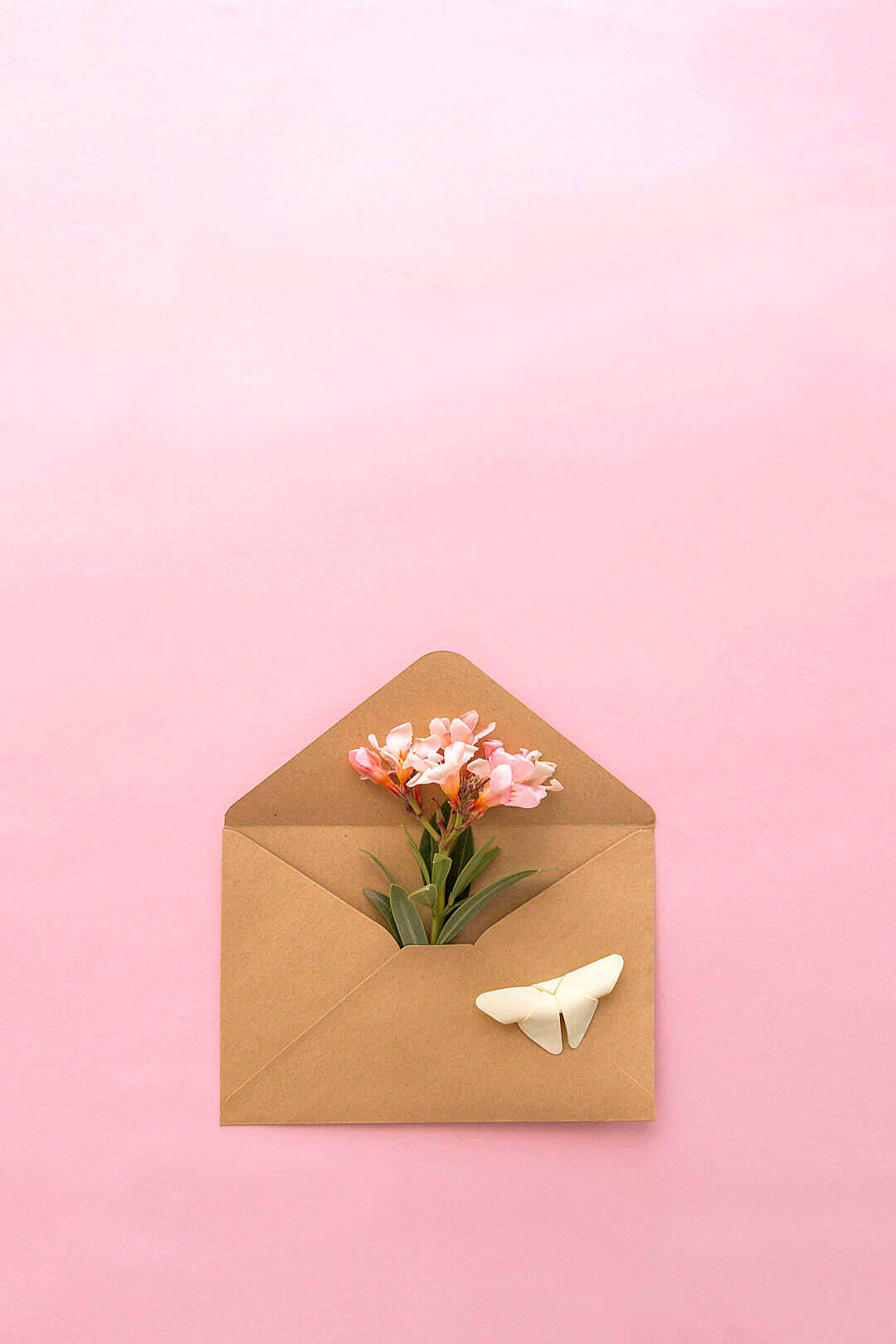 Natural Flower In An Envelope Background