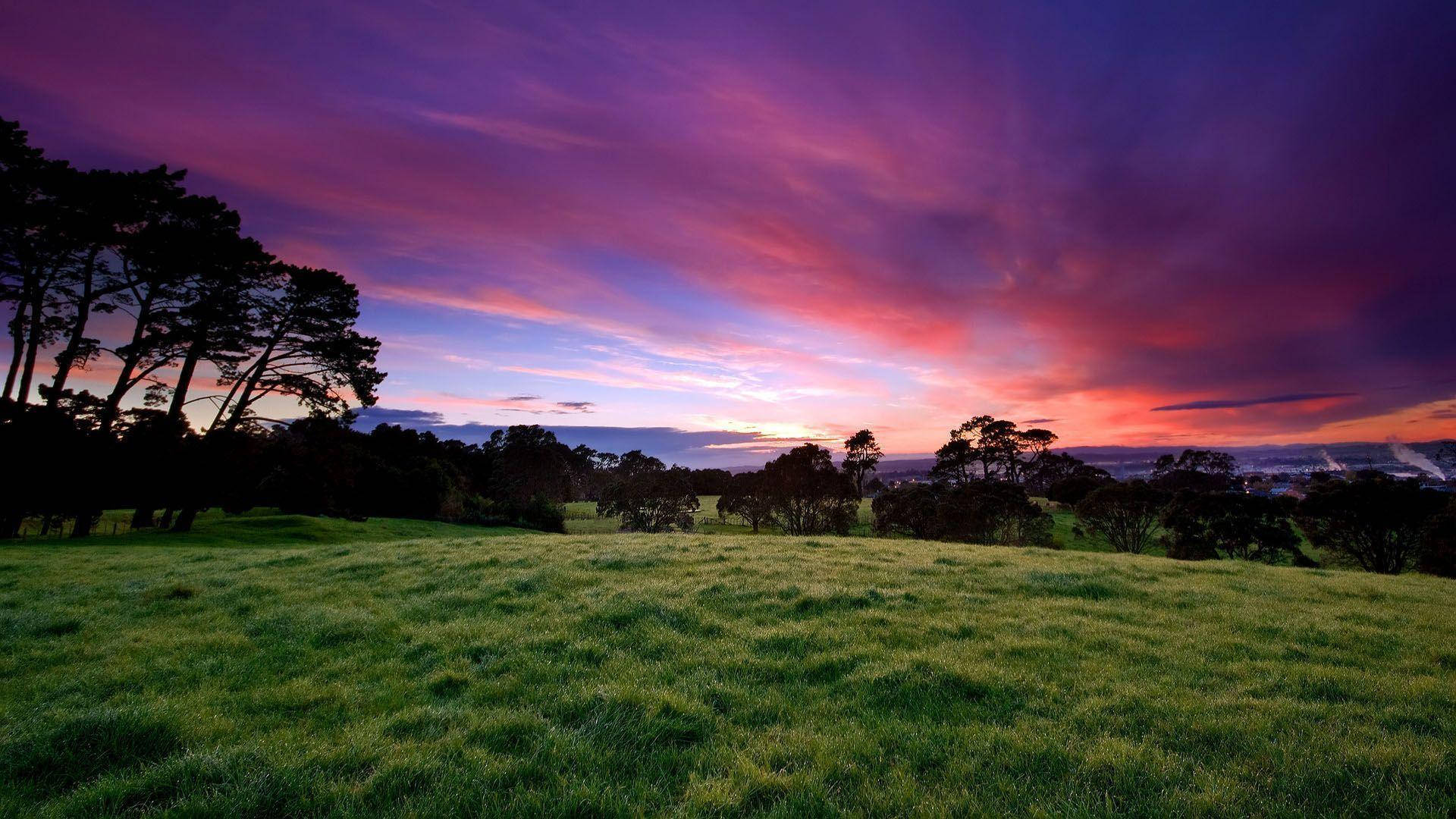 Natural Grass Field Purple Aesthetic Sky